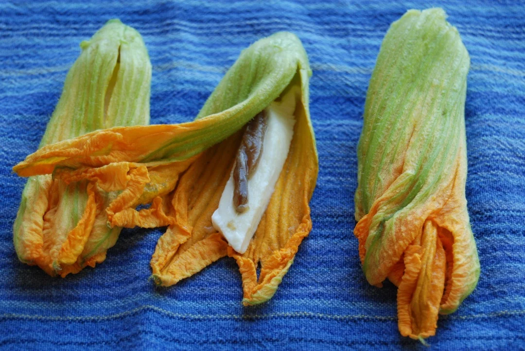 fresh squash blossoms tucked with cheese and anchovies ready for batter 