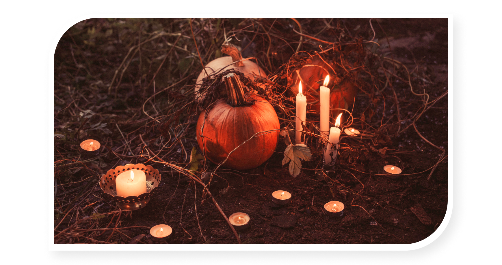 pumpkin and lights in halloween theme