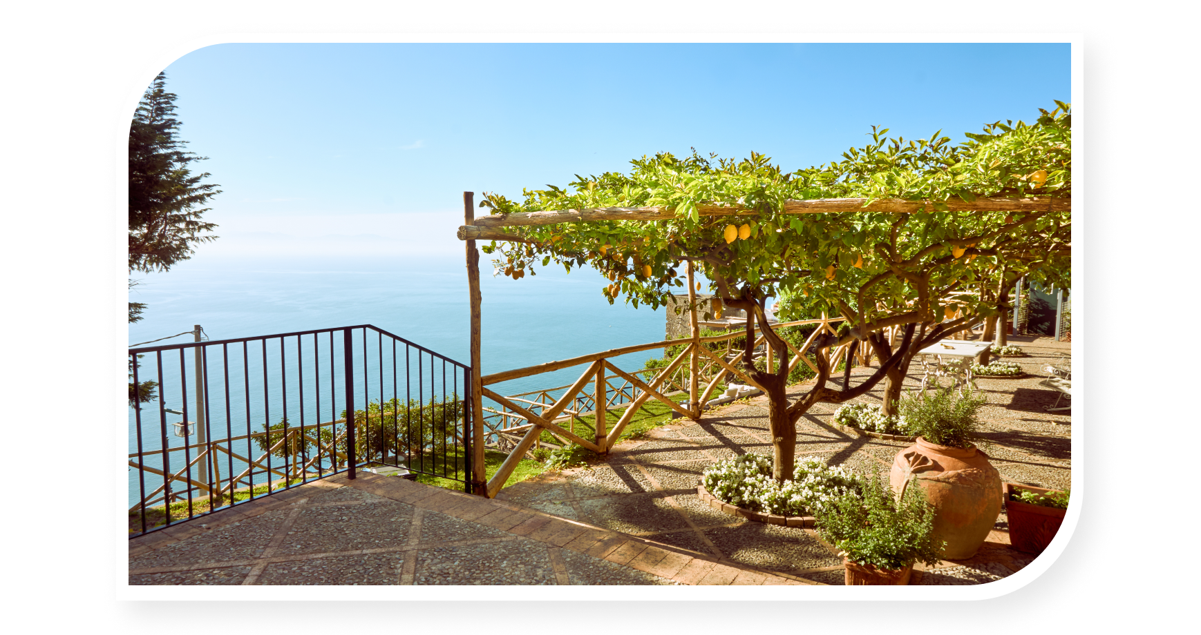 Lemon trees by the Amalfi Coast cliffs