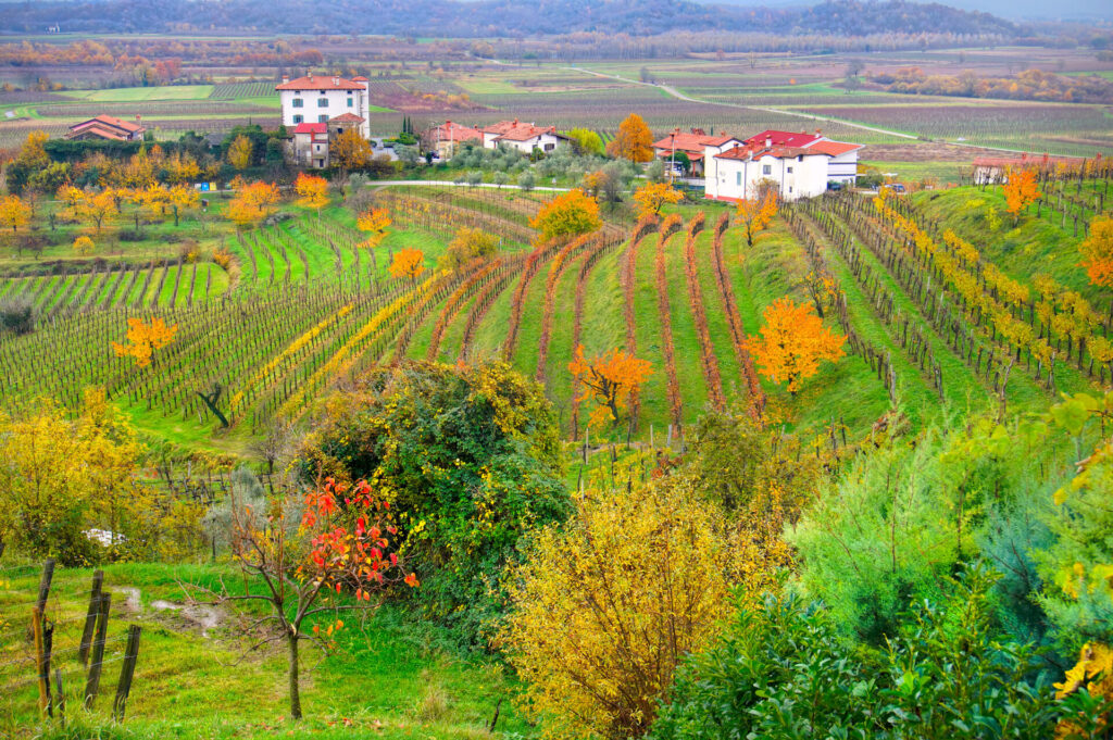 Collio Wine region, Friuli Venezia Giulia, Italy