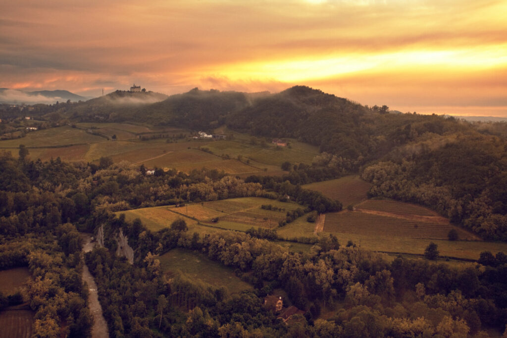 Gavi Piedmont Panorama